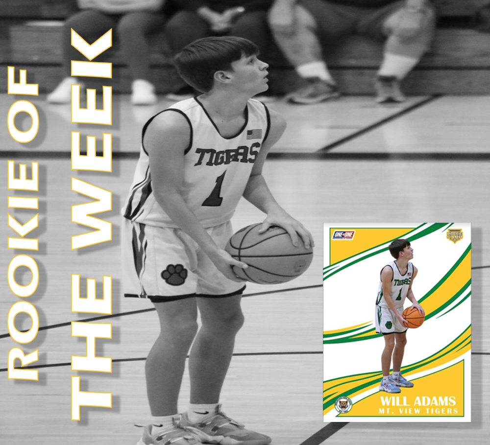 1of1 Memorabilia Cards Make Your Own Rookie Card or Custom Sports Car